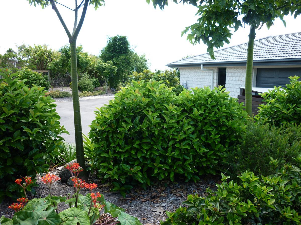 Willowbank Drive Bed & Breakfast المظهر الخارجي الصورة